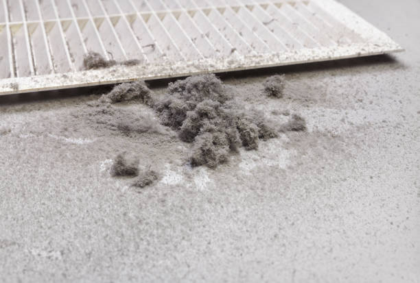 Best Affordable Duct Cleaning Services  in Buchanan Dam, TX